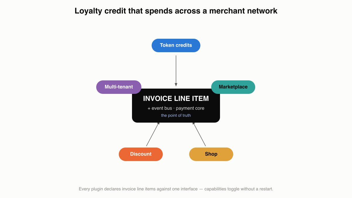Constellation diagram: a token_payment credit shared across multiple tenant merchants, each running shop and marketplace with discounts, earning and spending against one balance